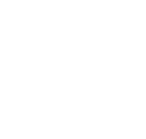 News rund ums Thema seculution und IT-Security Icon Megaphone